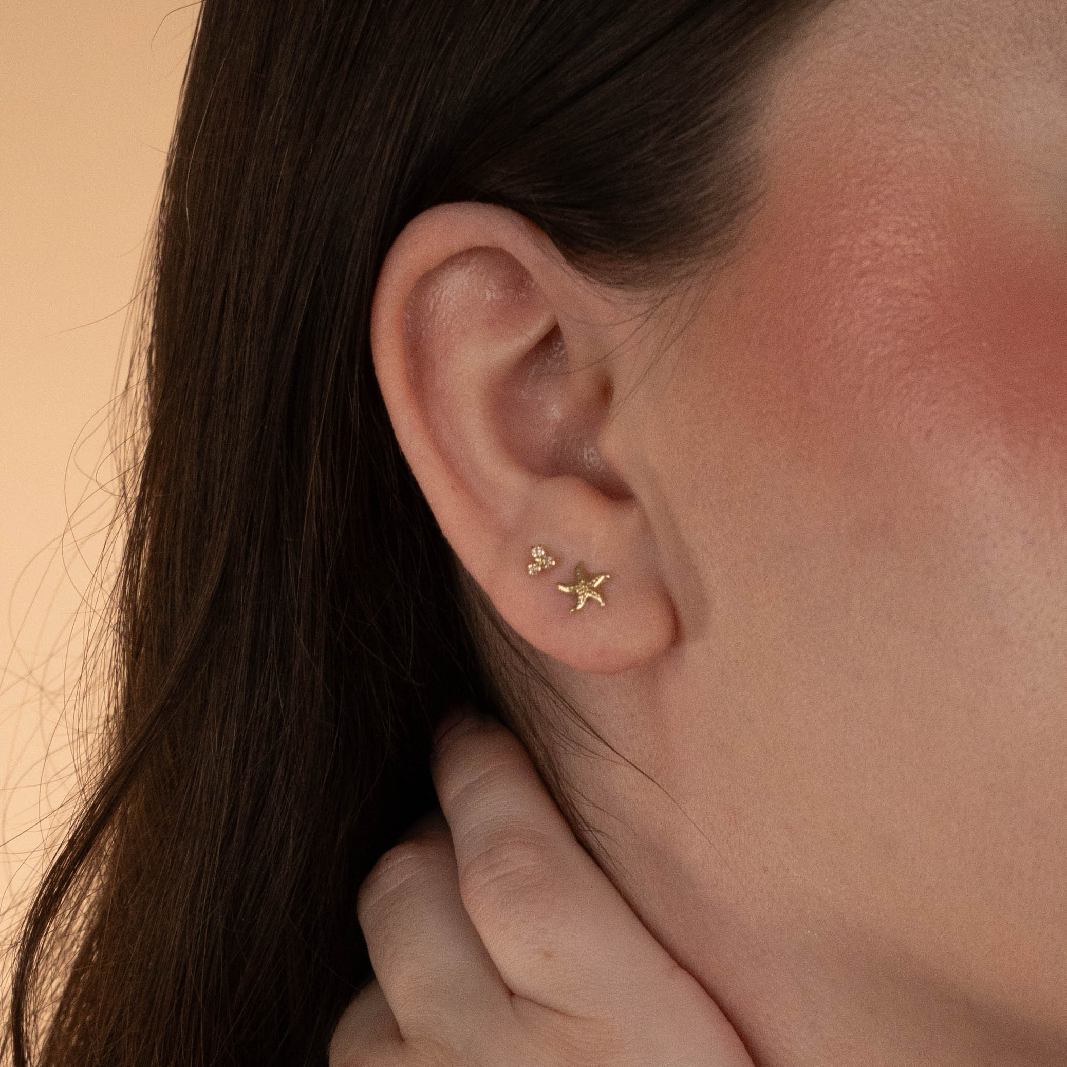 Broquel estrella marina