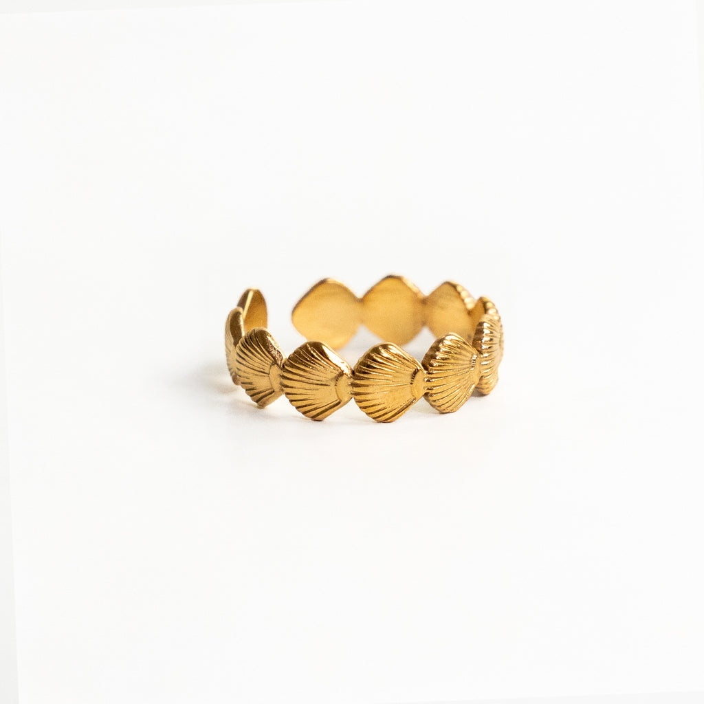 Anillo conchitas