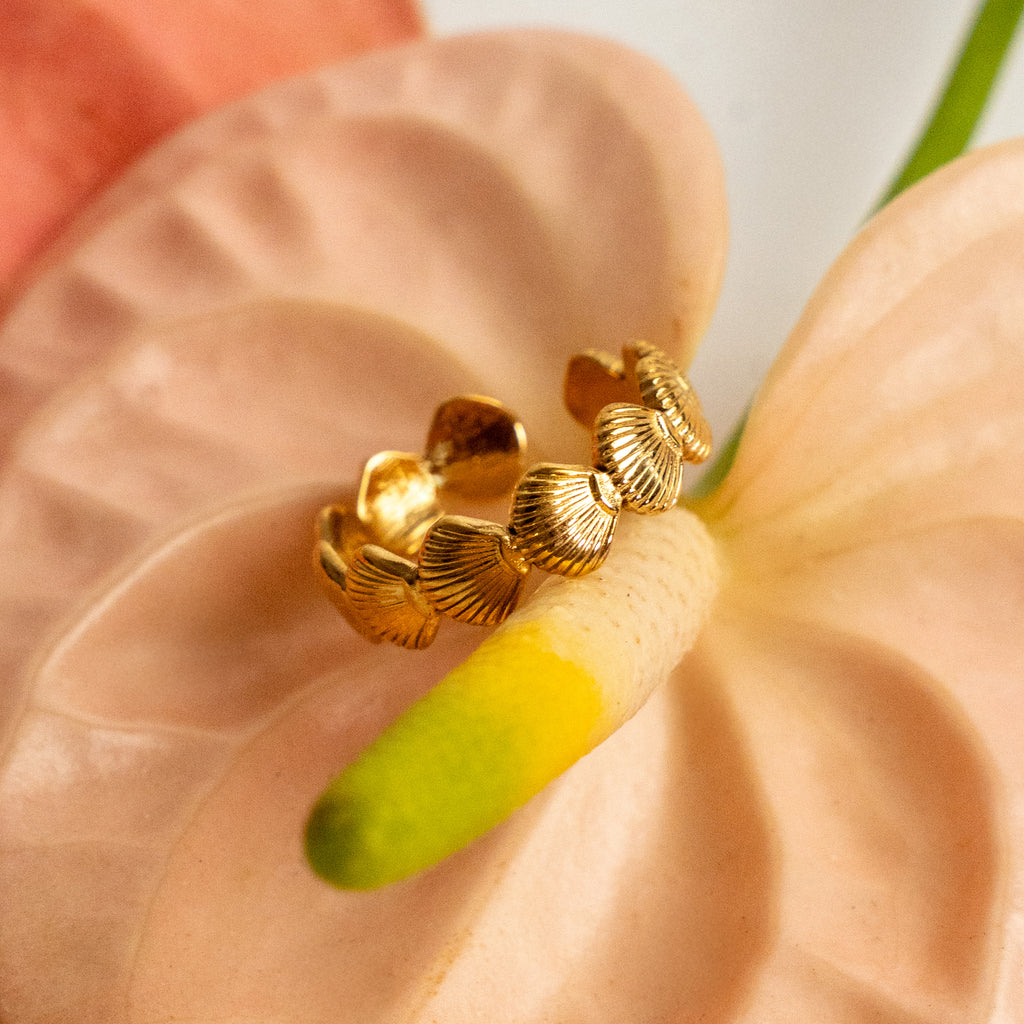 Anillo conchitas
