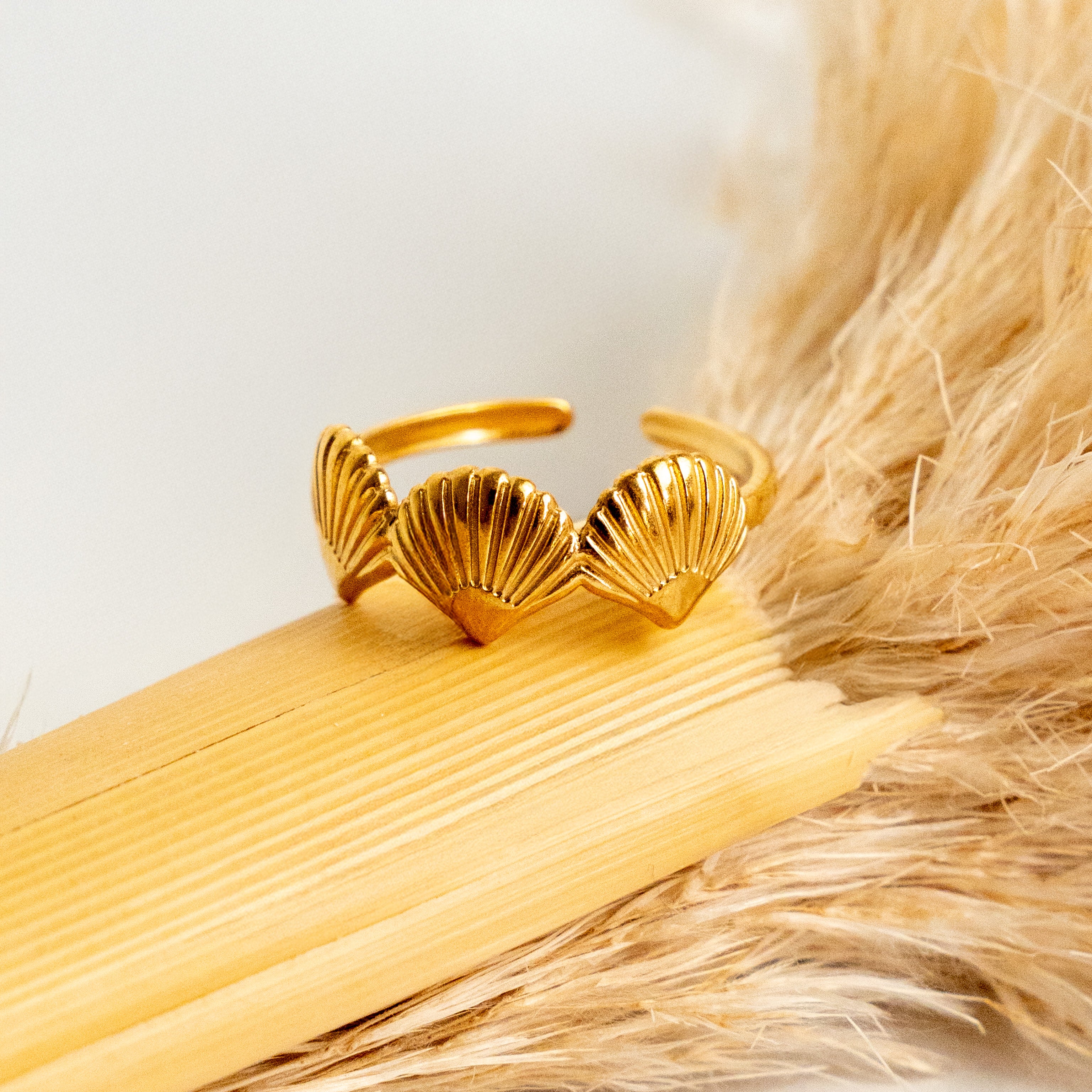 Anillo tres conchitas