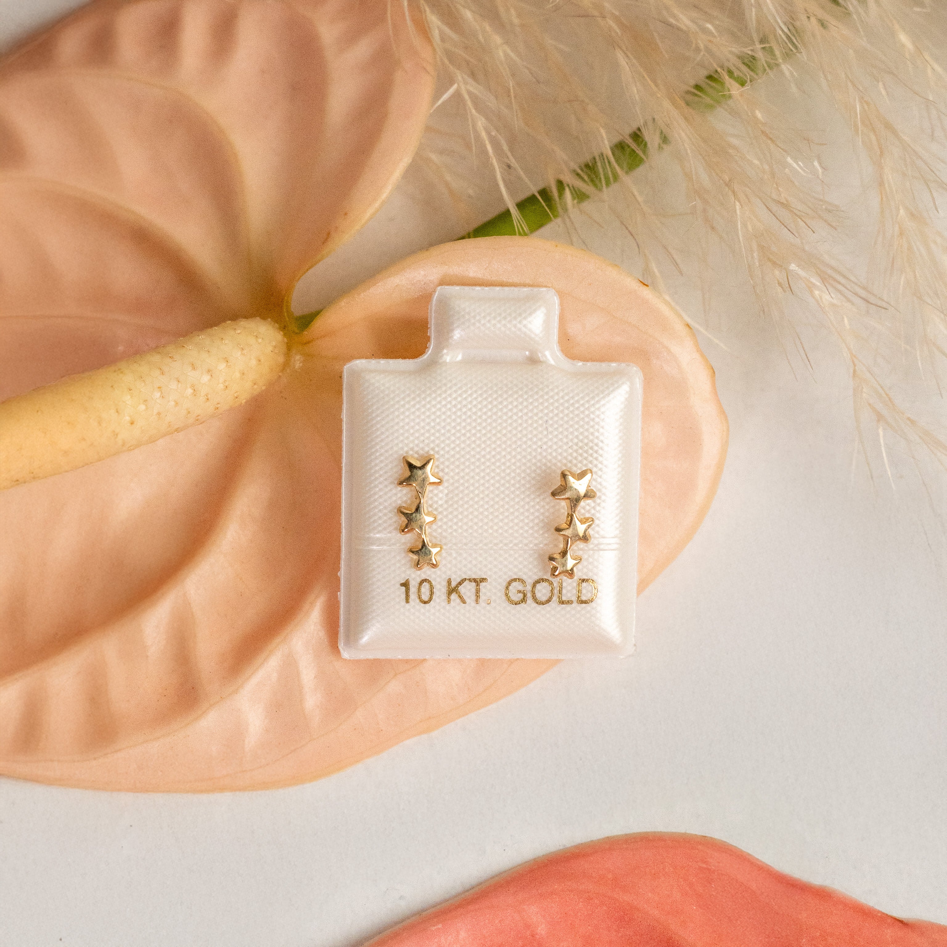 Broquel constelación estelar