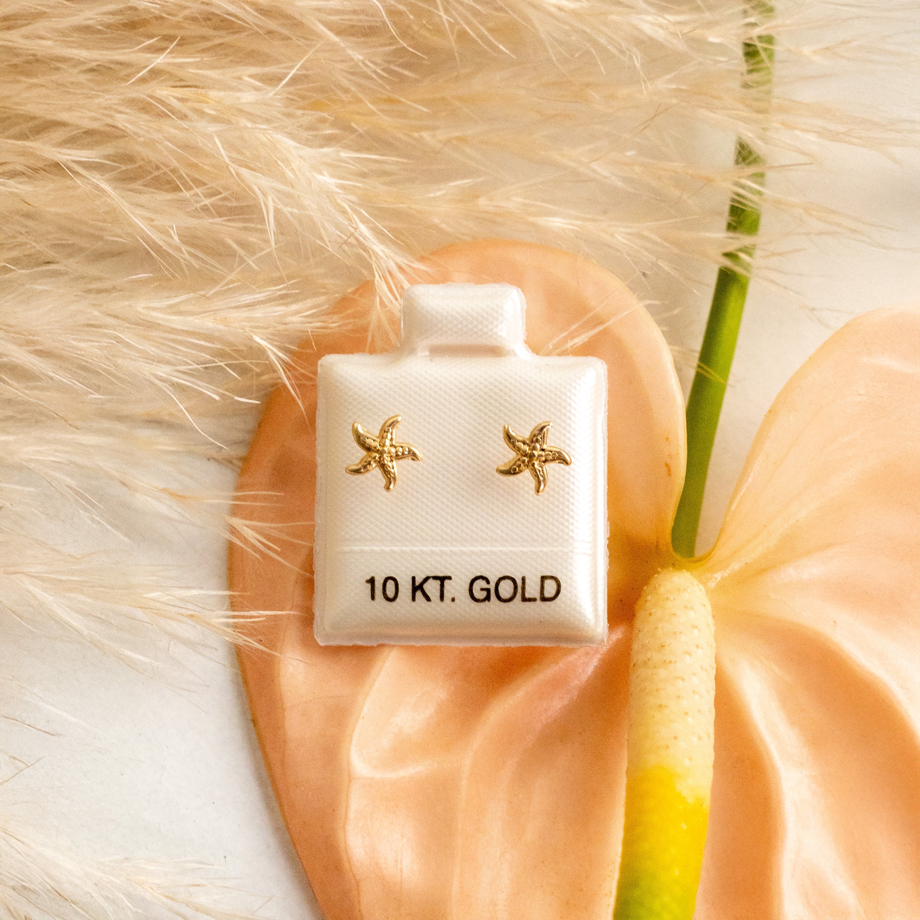 Broquel estrella marina