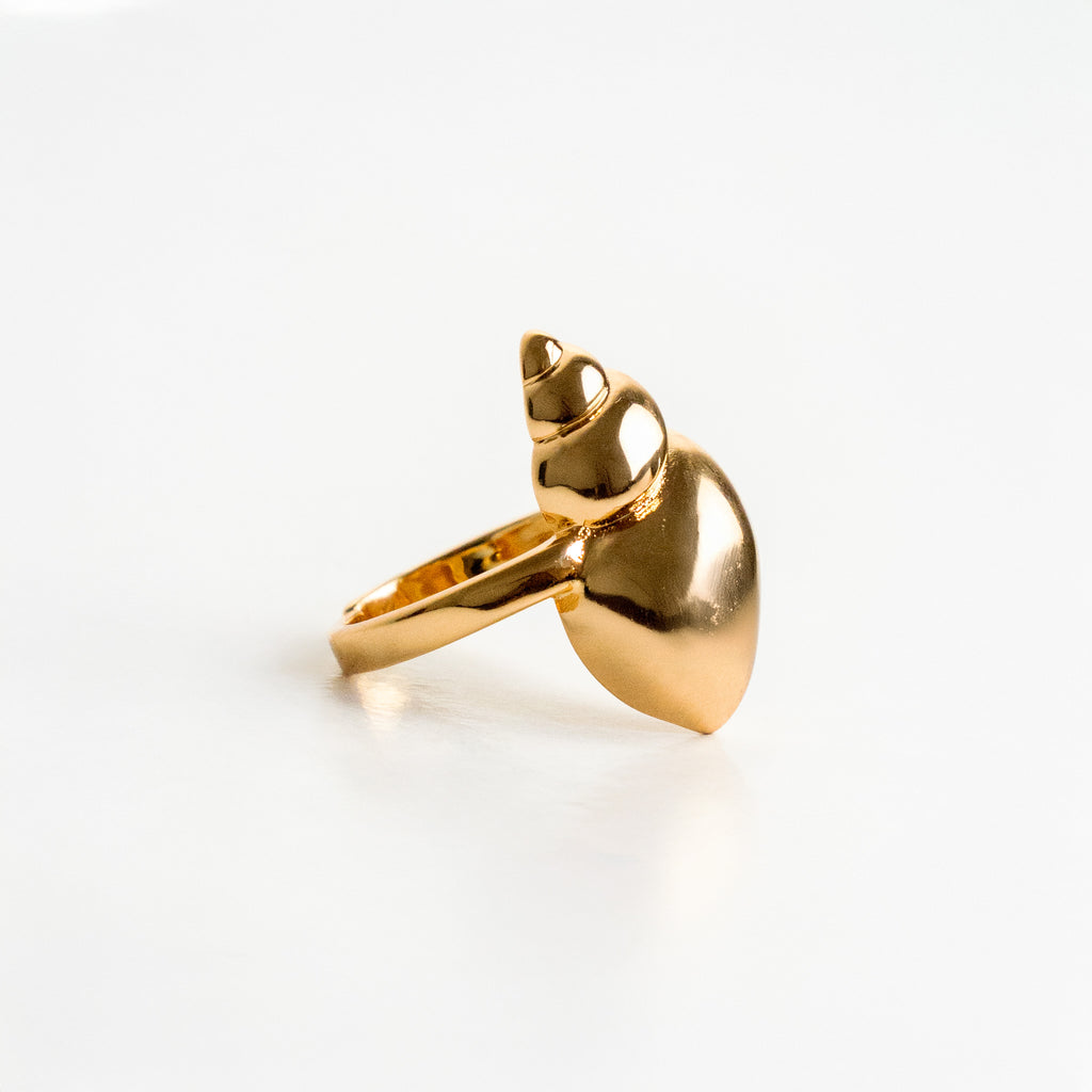 Anillo caracol