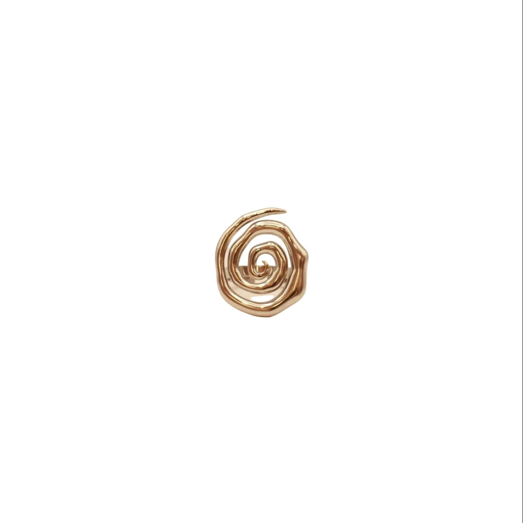 Anillo Visual